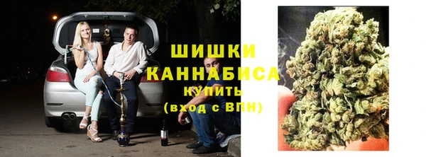 сатива Абинск